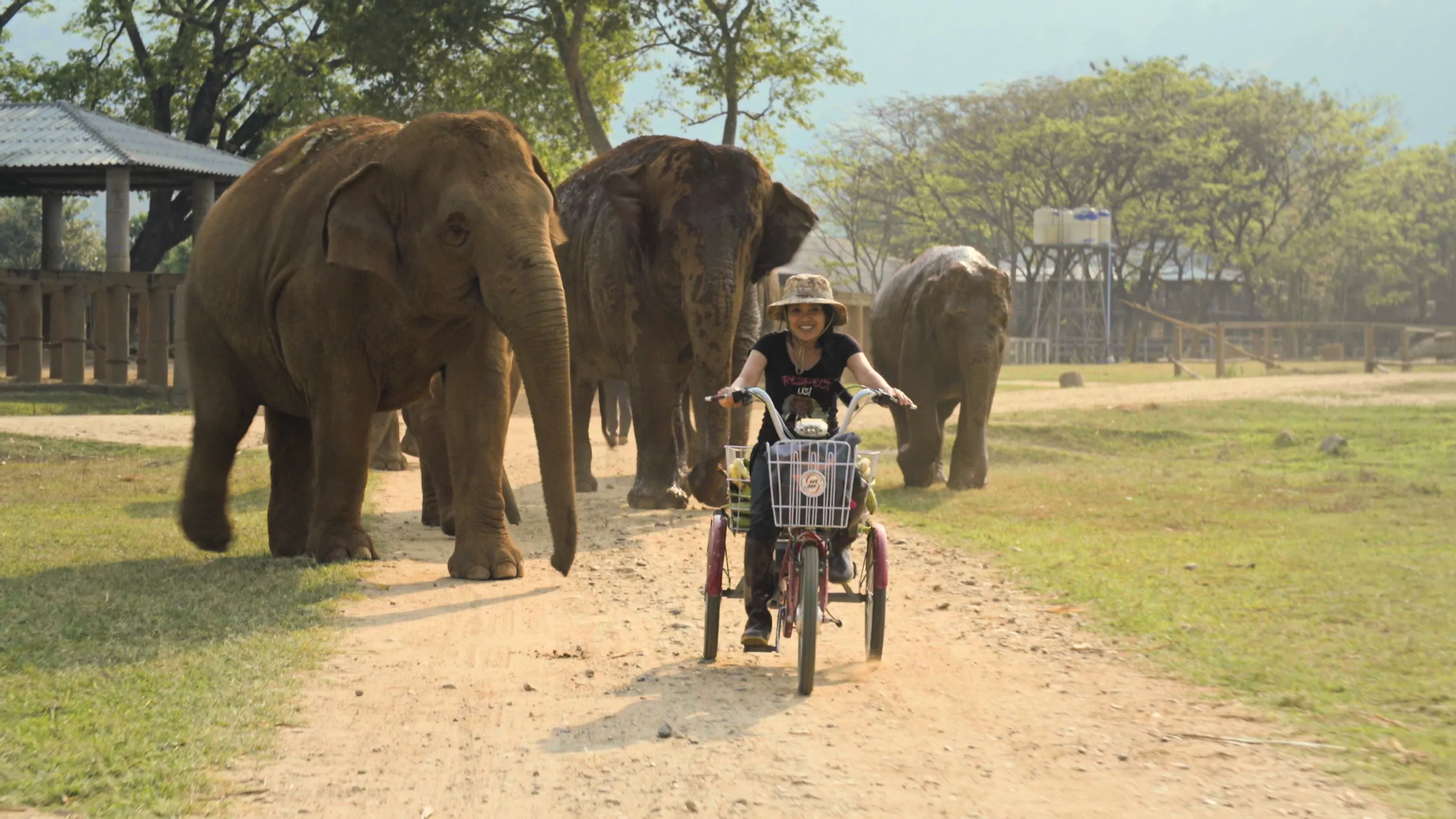 Documentaire 'Elephant Mother': Thaise vrouw zorgt als een moeder voor olifanten